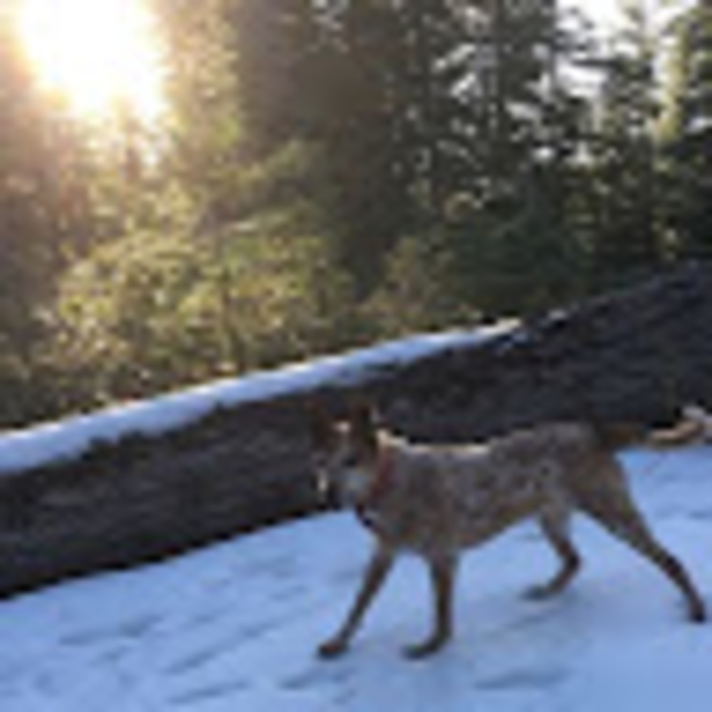 Meet your Posher, Rebeckah